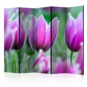 Paraván Purple spring tulips Dekorhome
