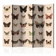 Paraván Retro Style: Butterflies Dekorhome