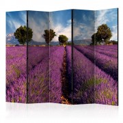 Paraván Lavender field in Provence, France Dekorhome