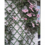 Záhradné treláže 2ks 100 x 200 cm PVC zelené Dekorhome