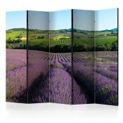 Paraván Lavender fields Dekorhome