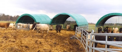 Prístrešok pre dobytok, rozmer 6 x 6 m