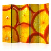 Paraván Orange slices Dekorhome
