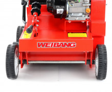 Weibang WB 384 RC