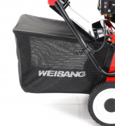 Weibang WB 384 RC