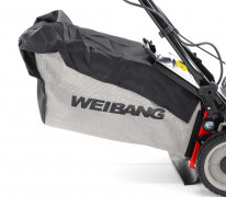 Weibang WB 453 SE