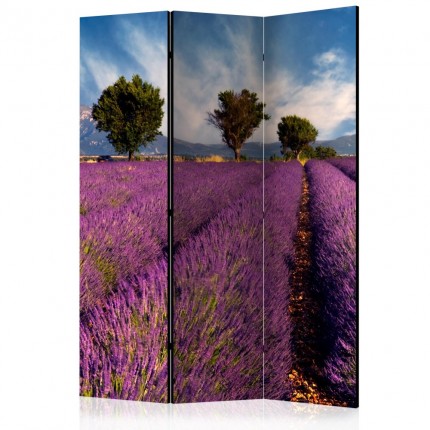 Paraván Lavender field in Provence, France Dekorhome
