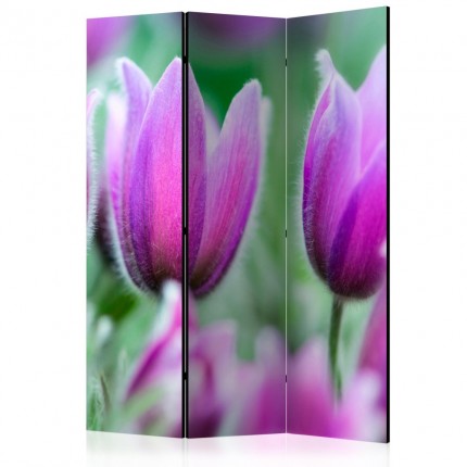 Paraván Purple spring tulips Dekorhome
